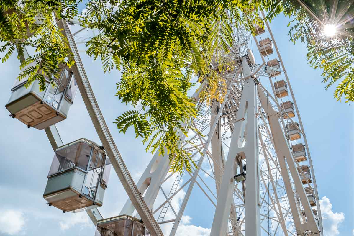 Budapest Eye with green leaves and a sparkling sun