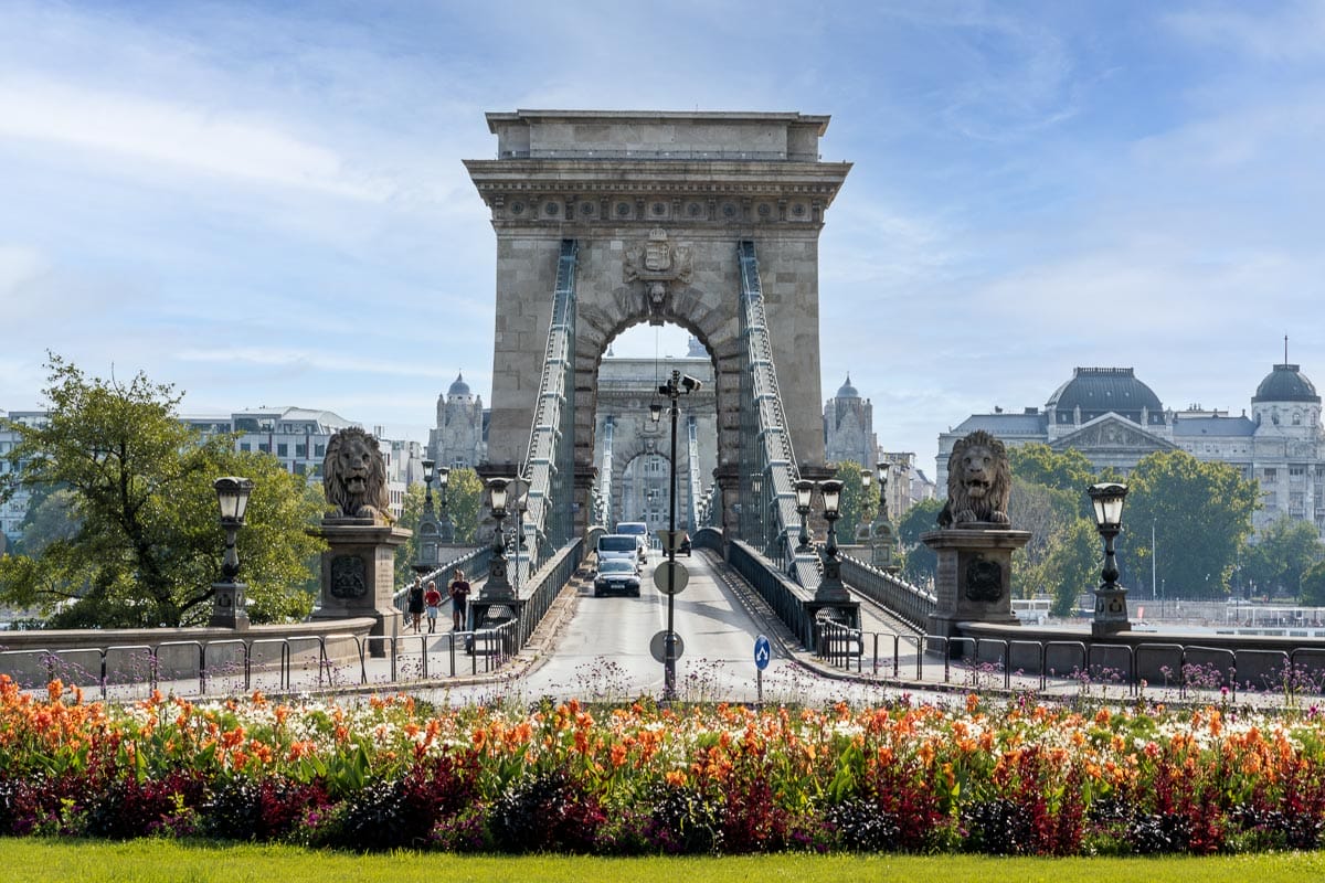 Szechenyi Chain Bridge in Budapest with flowers in the foreground