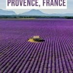 Complete Guide to Visiting the Lavender Fields in Provence France