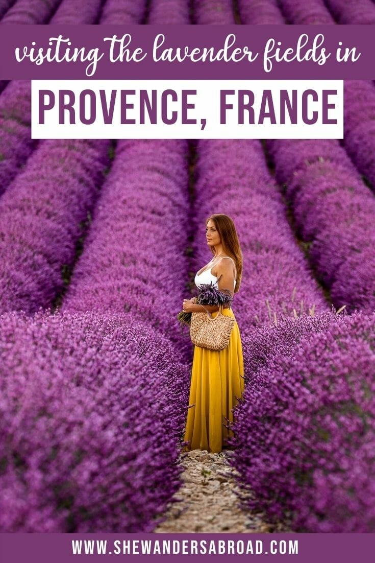 Complete Guide to Visiting the Lavender Fields in Provence France