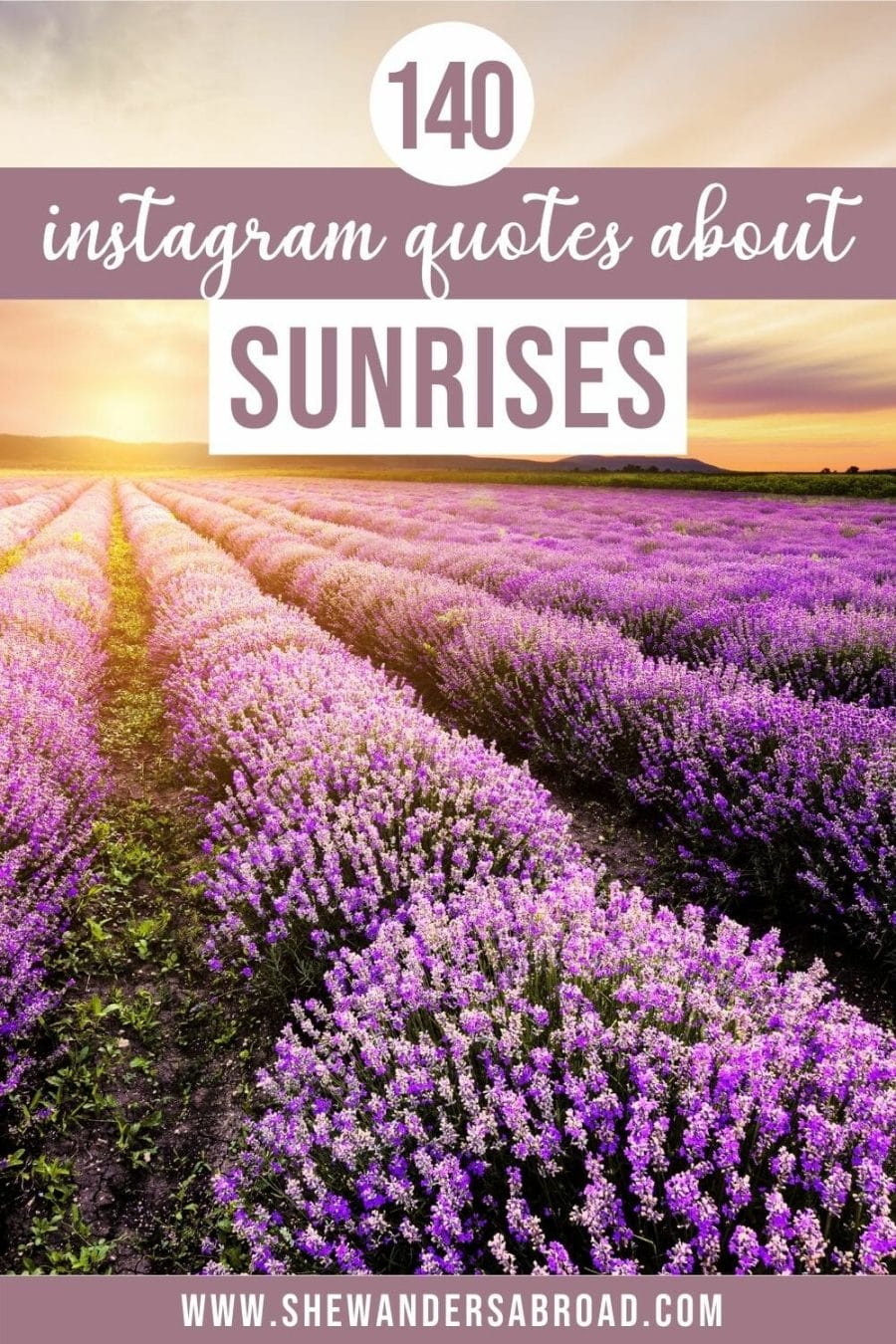 Incredible Sunrise Captions for Instagram