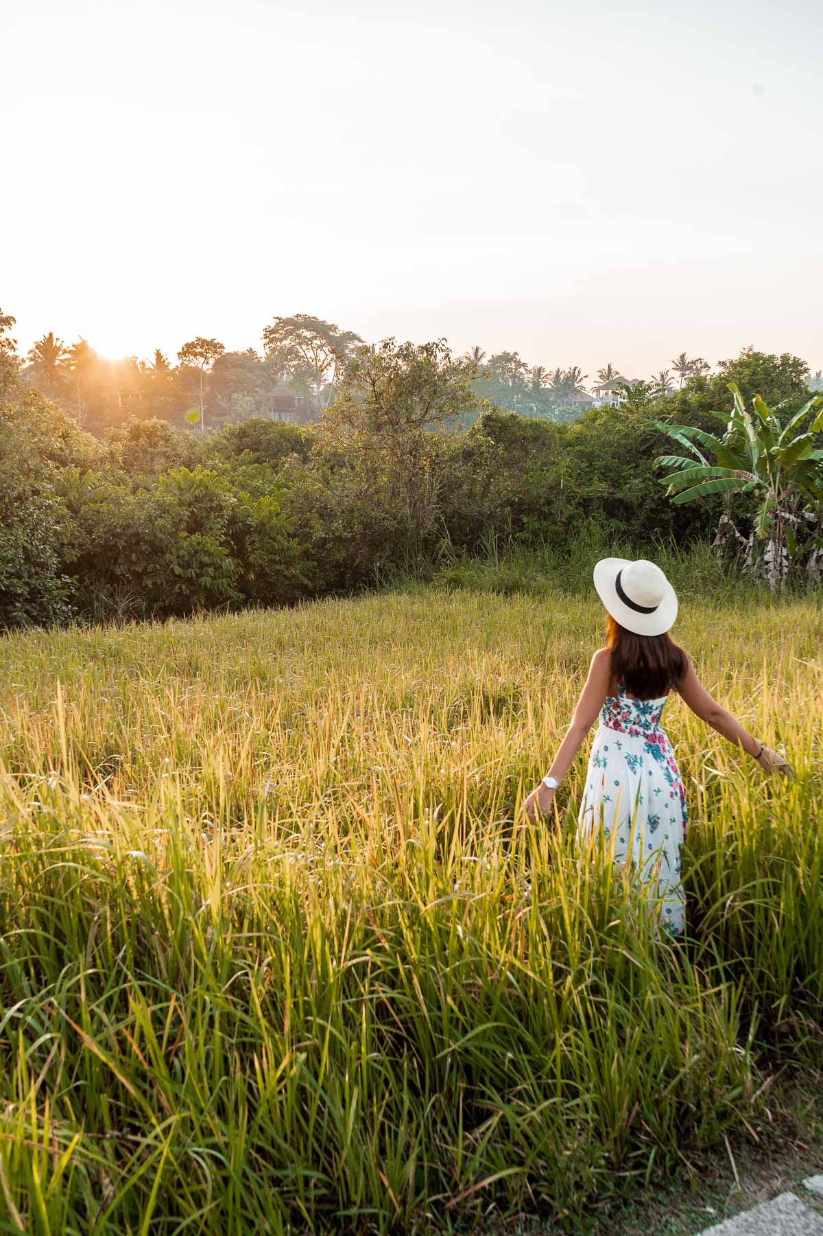 Girl standing in the grass, watching the sunrise at Campuhan Ridge Walk in Ubud, Bali