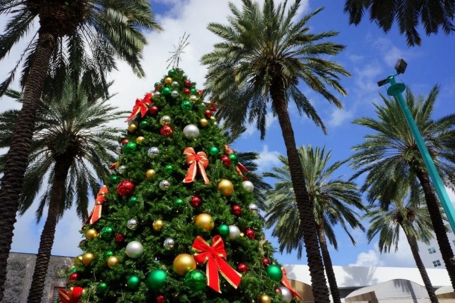 Christmas tree in Miami, Florida, USA