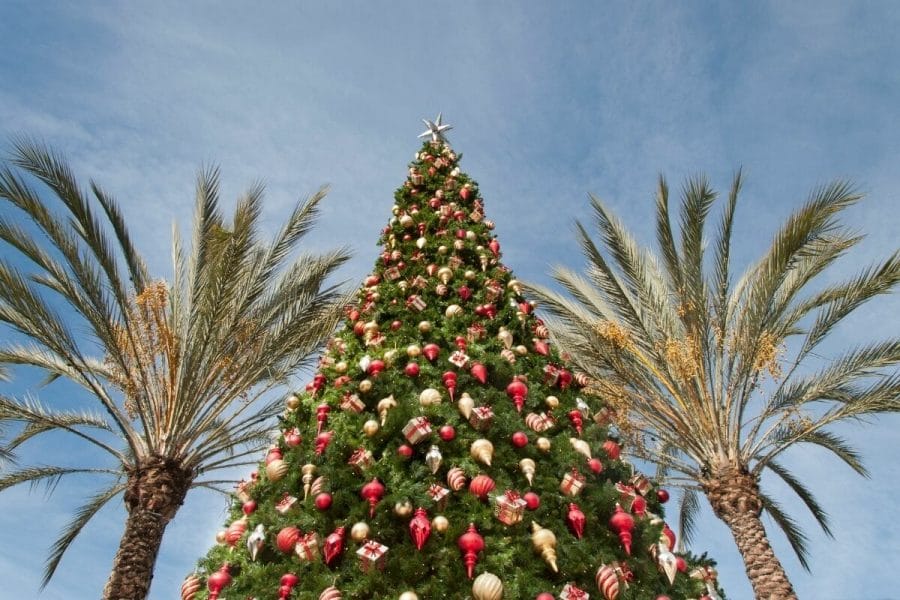 Christmas tree in Palm Springs, USA