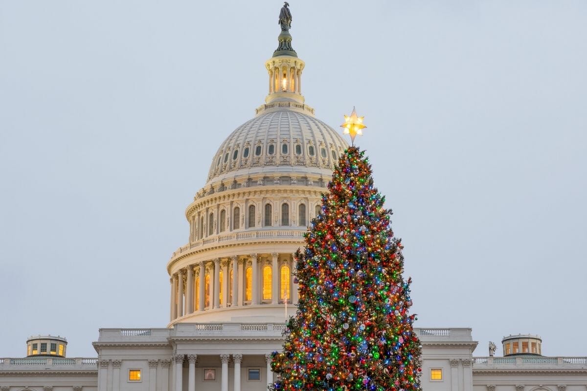 Christmas tree in front of the Capital Building in Washington DC, USA
