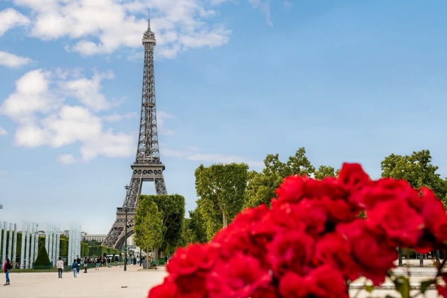 Eiffel Tower with roses from Champ de Mars