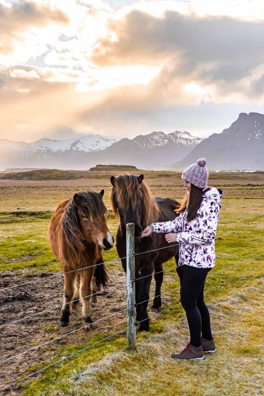Girl with two Icelandic horses in Iceland