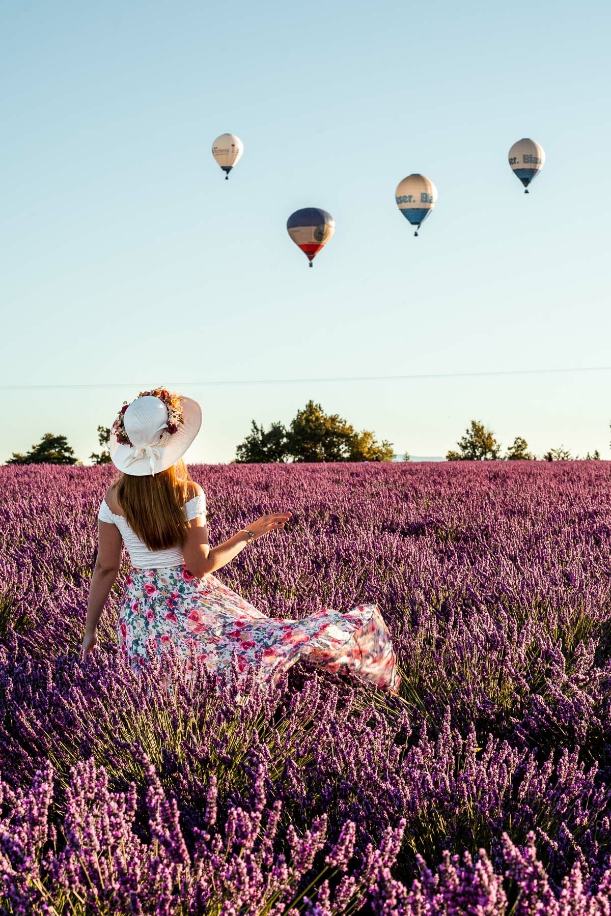 Hot air balloons at the lavender fields in Provence, France