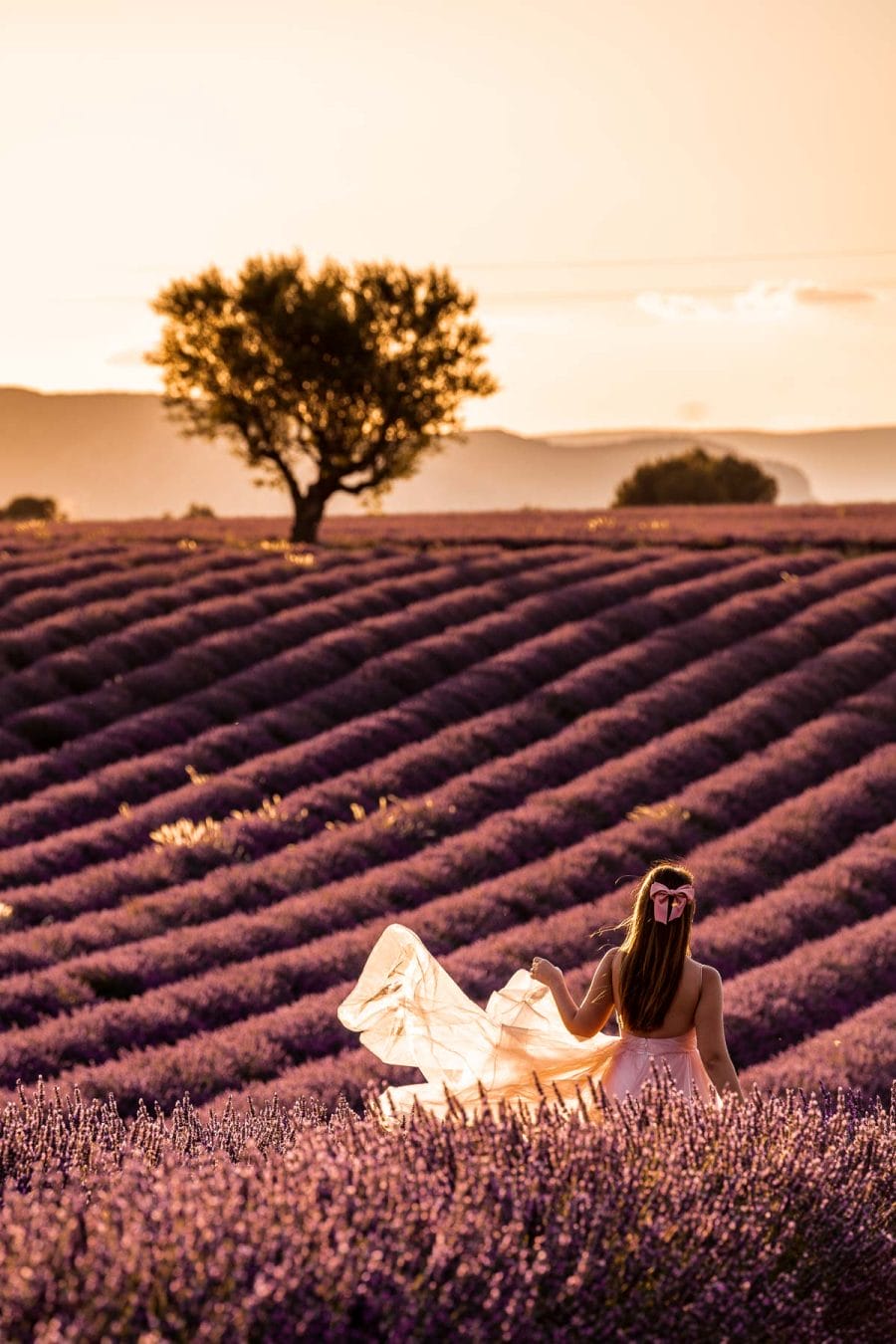 Girl in a pink dress standing in the lavender fields in Provence at sunset