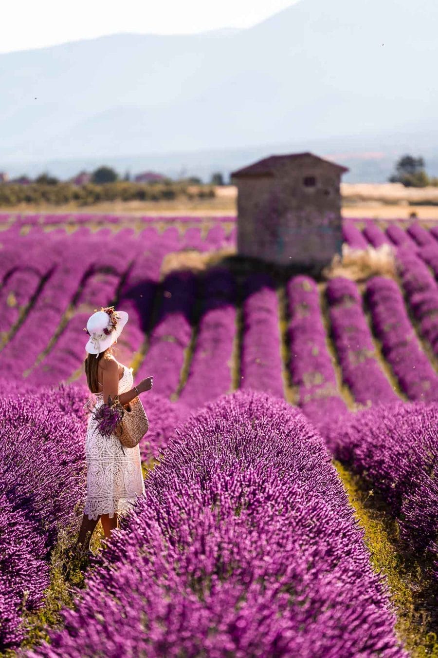 Girl in a white dress standing in the lavender fields in Provence, France
