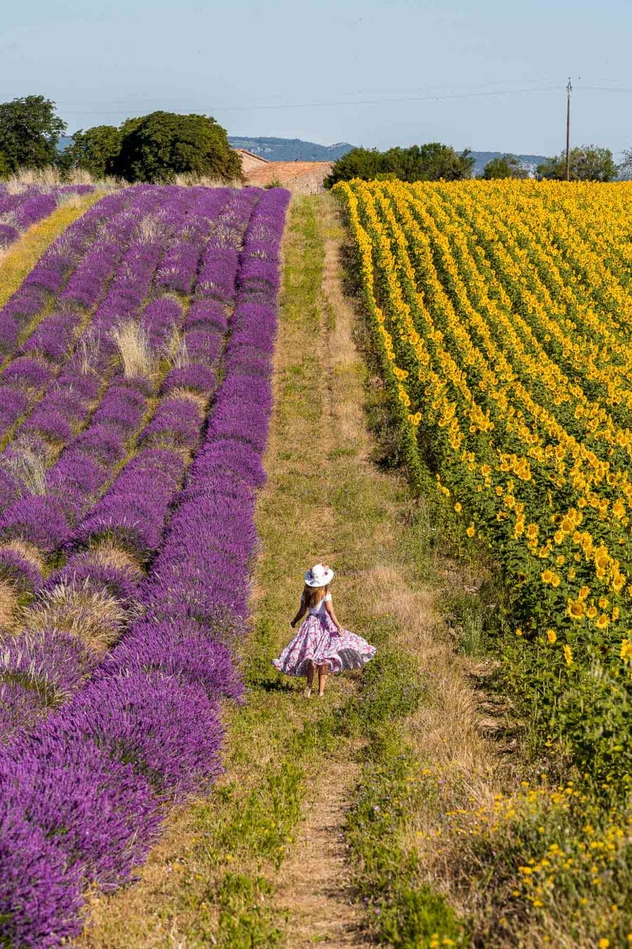Girl in a pink skirt twirling between the sunflower and lavender fields in Provence