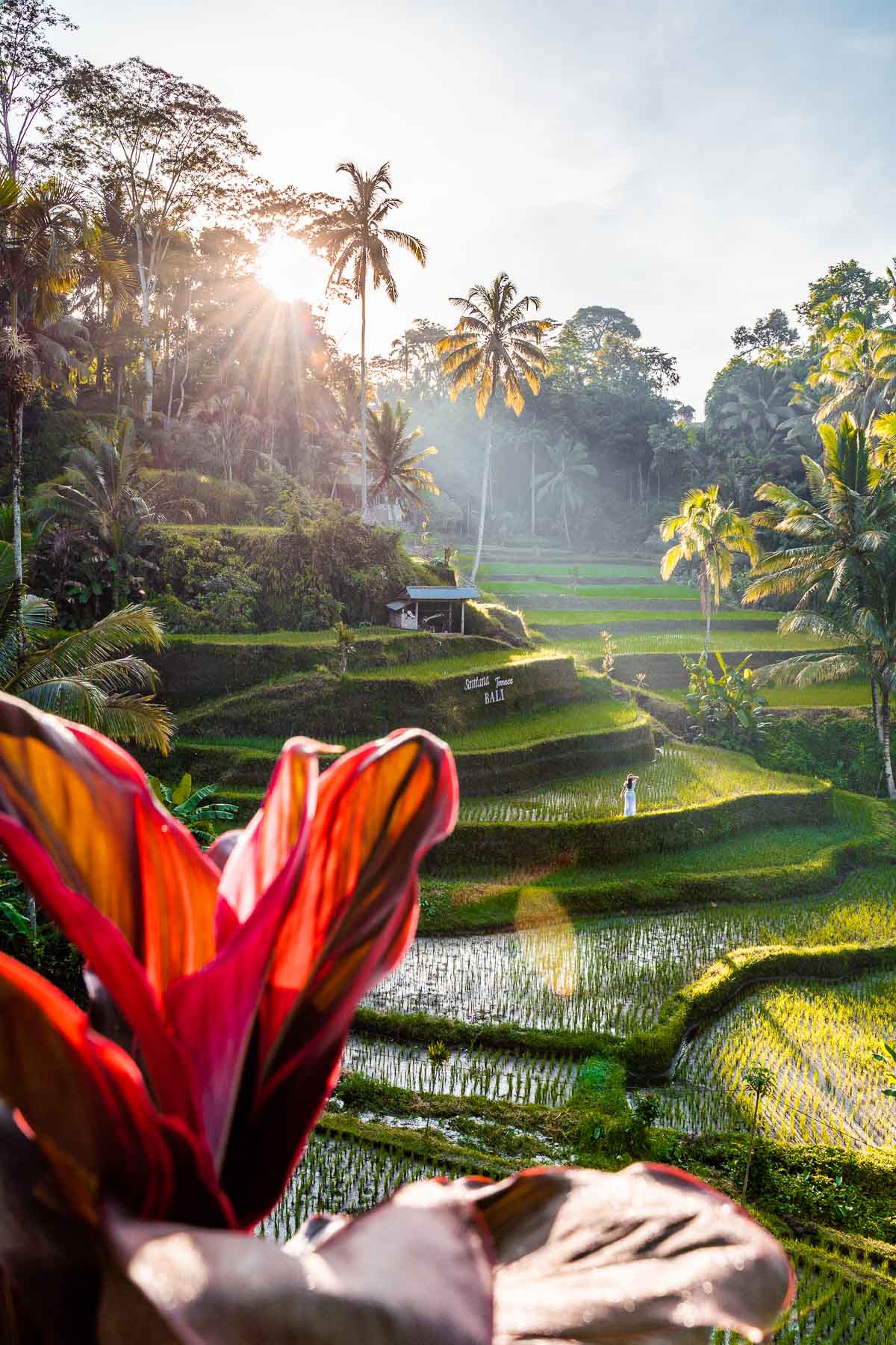 The Ultimate Bali Travel Guide for First Timers | She Wanders Abroad