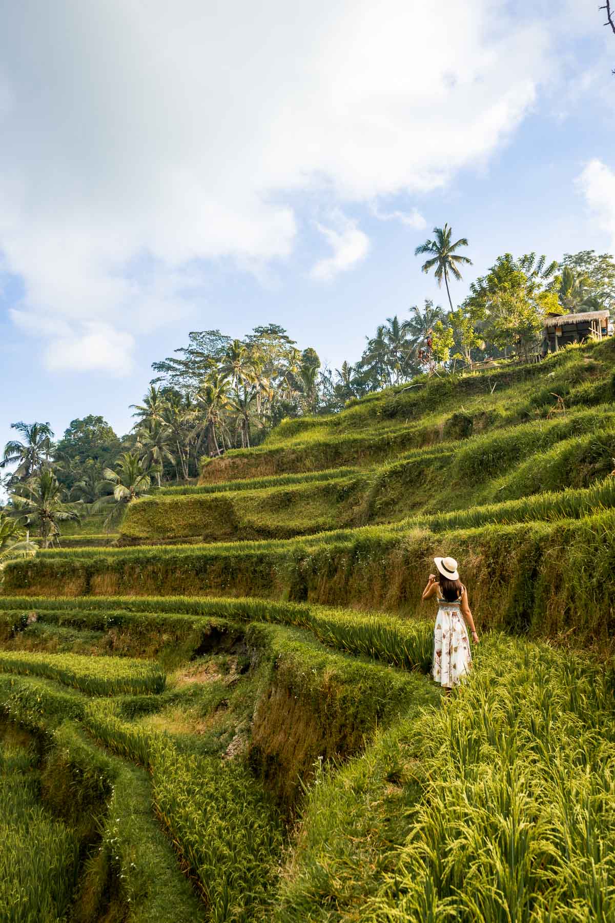 Girl standing among the lush green rice paddies at Tegallalang Rice Terraces in Bali