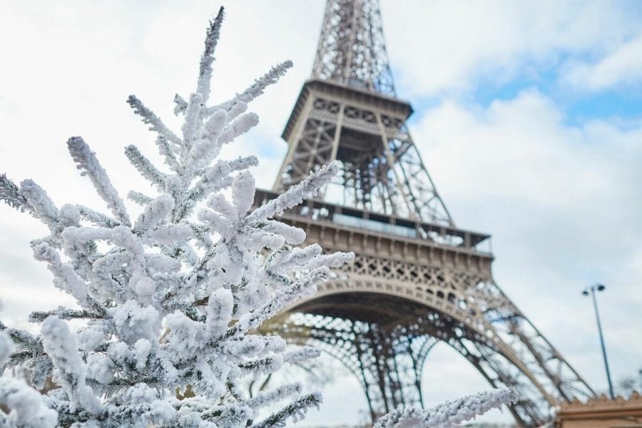Snowy tree branches in front of the Eiffel Tower in winter