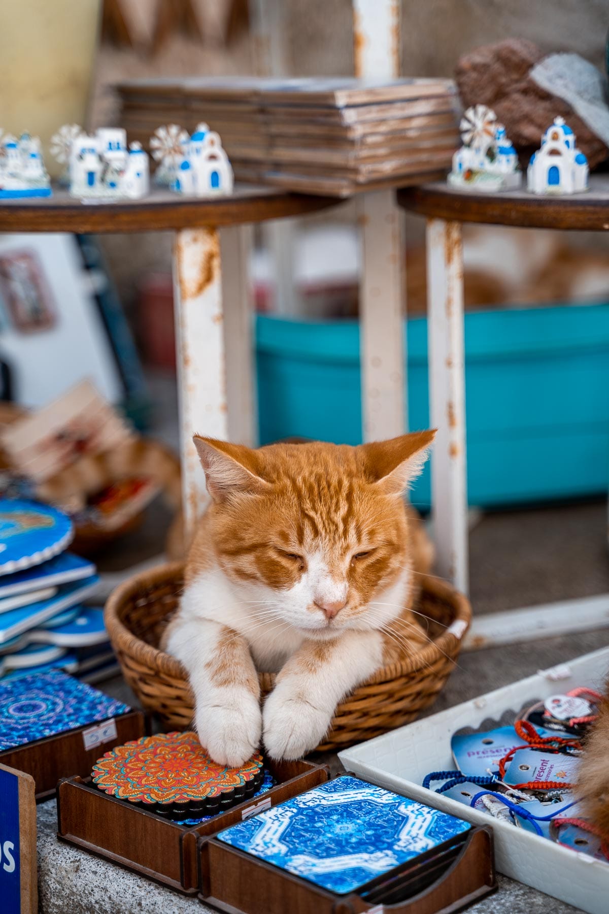 Cat sleeping on top of the souvenirs in Pyrgos, Greece