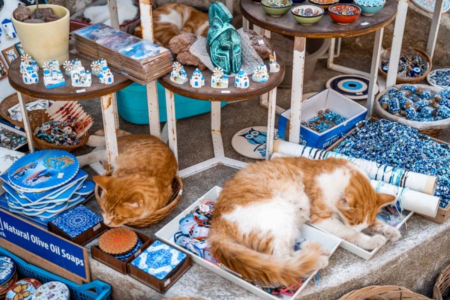 Cats sleeping on top of the souvenirs in Pyrgos, Greece