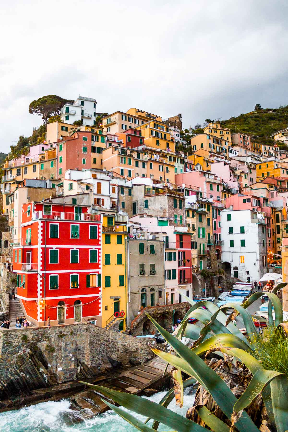 Colorful houses in Riomaggiore, Cinque Terre, Italy
