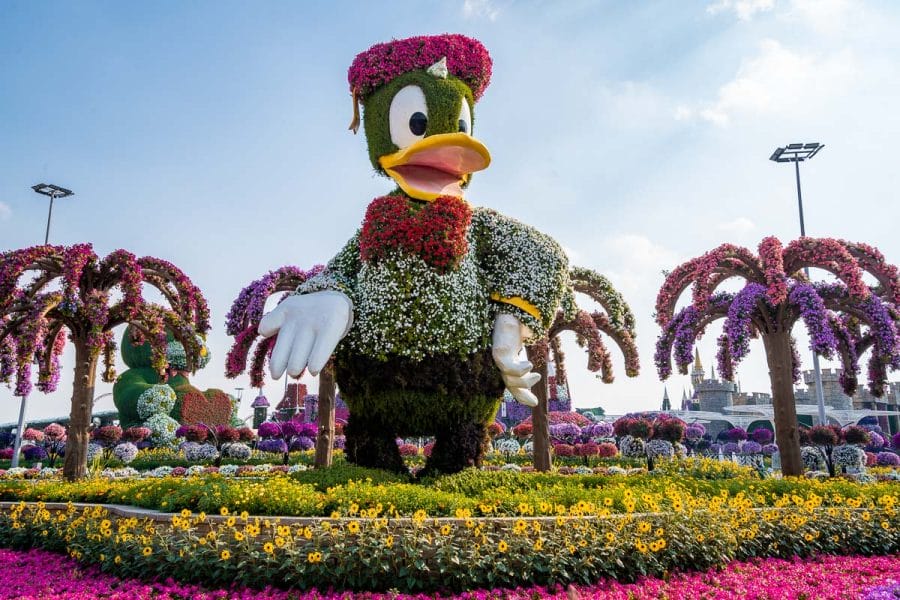 Statue of Donald Duck made of flowers in the Dubai Miracle Garden