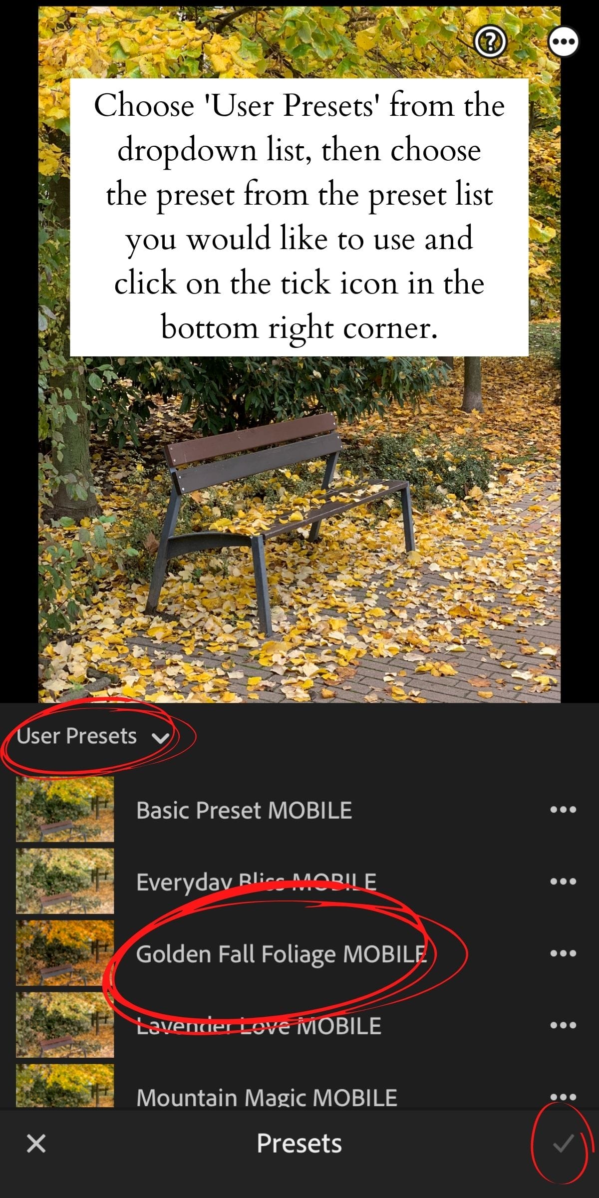 How to Install Lightroom Presets on Mobile 15