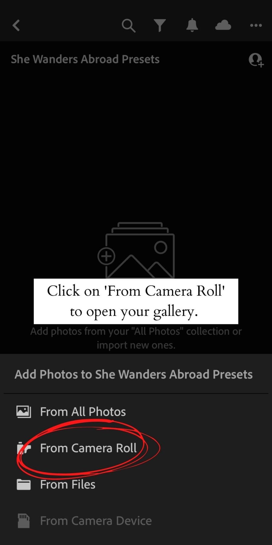 How to Install Lightroom Presets on Mobile 9