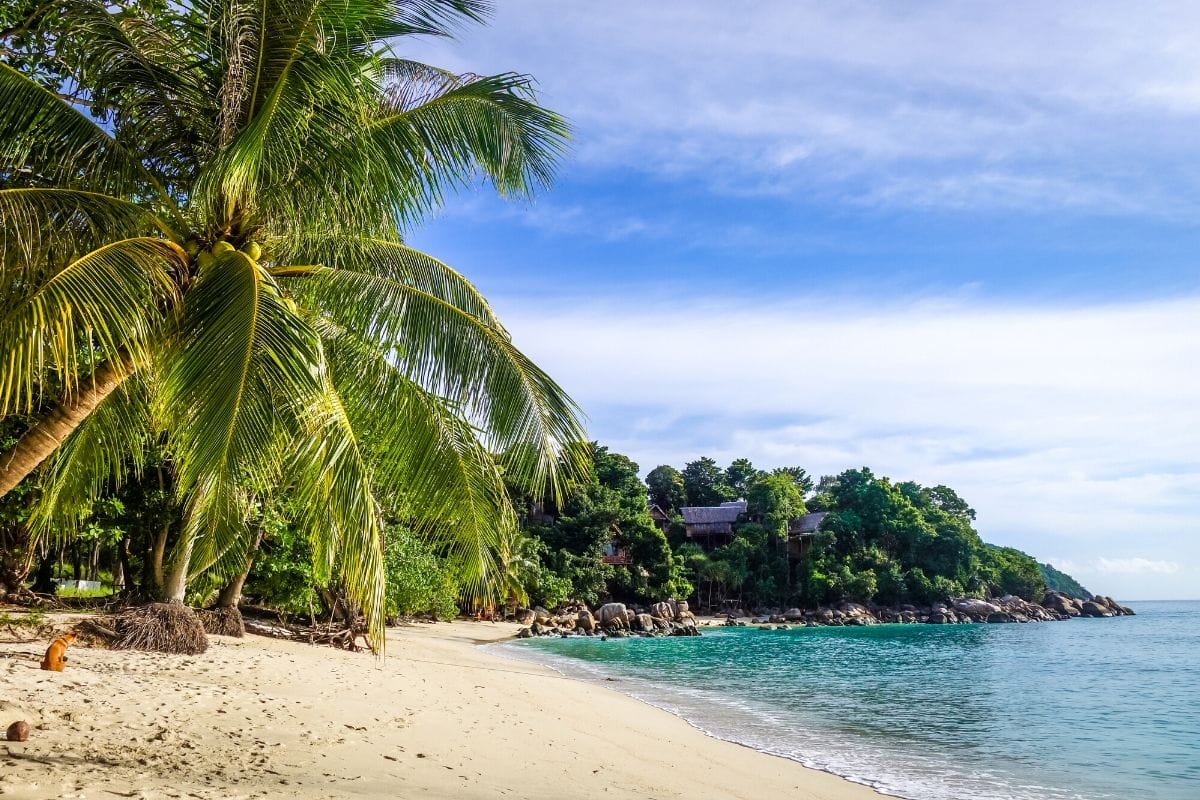 White sandy beach with palm trees in Koh Lipe, Thailand