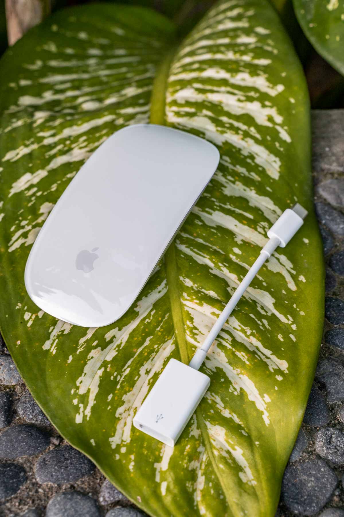 Magic Mouse and USB-C to USB Adapter for Macbook Pro