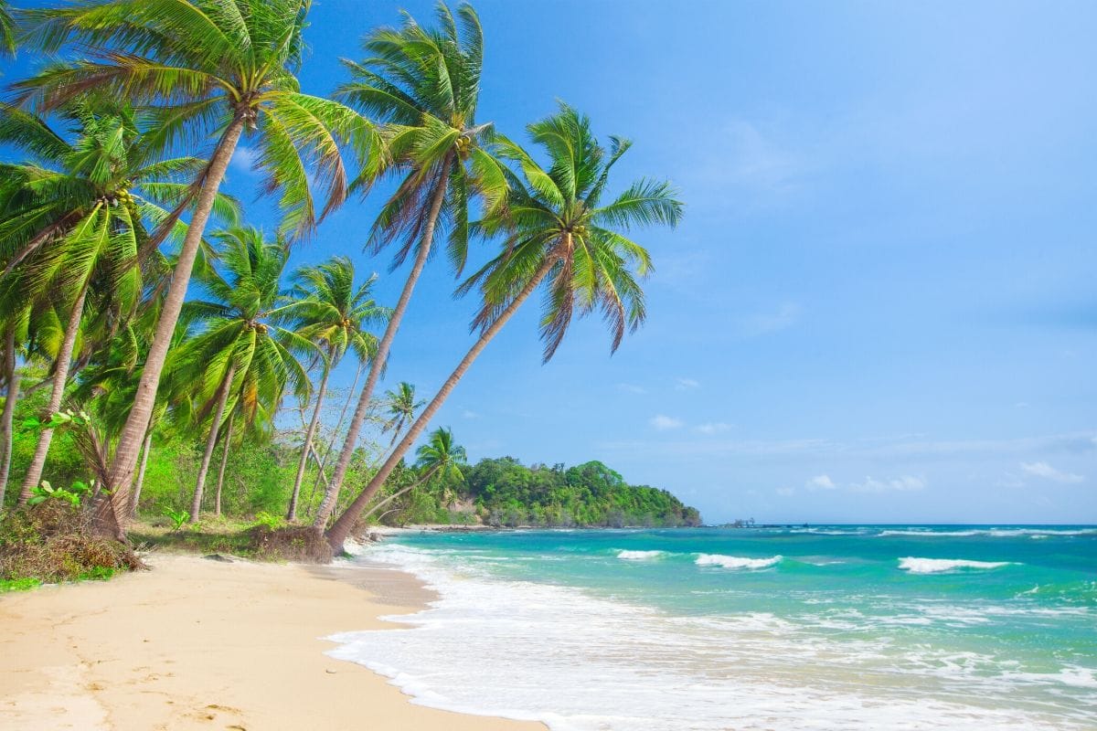 White sandy beach and palm trees on Malapascua Island, Philippines