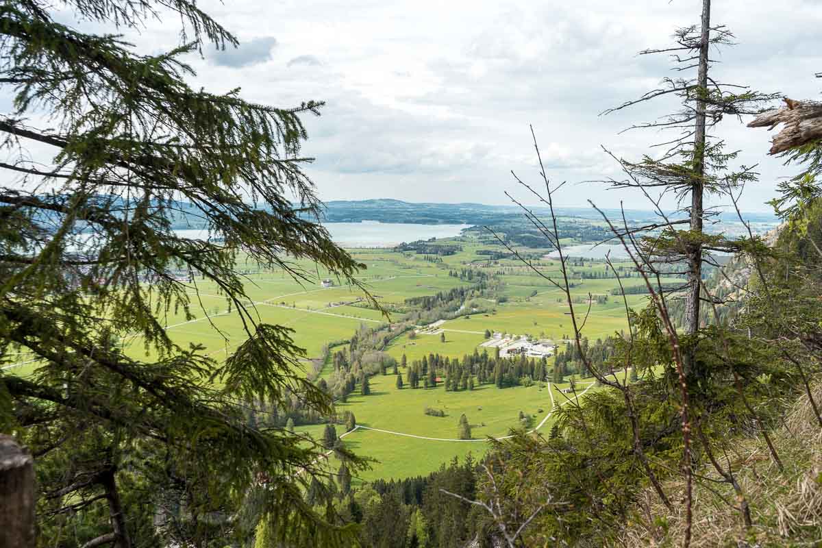 View of the green fields surrounding Neuschwanstein Castle