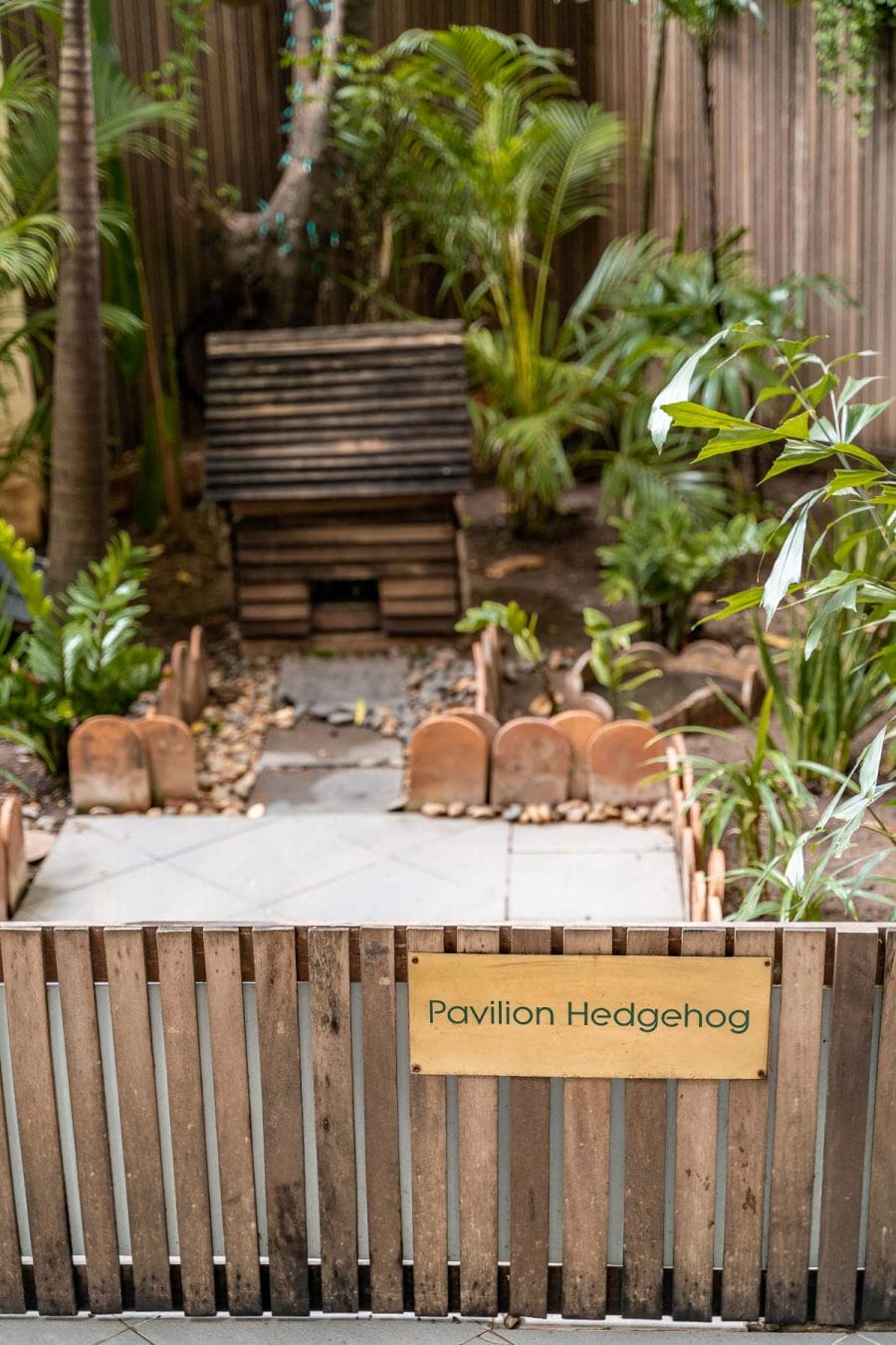 Hedgehog garden at Pavilion Phnom Penh