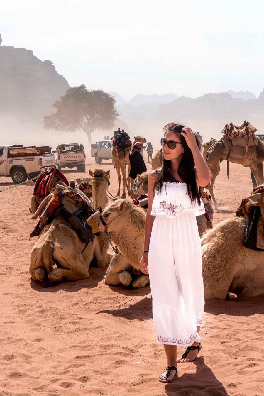 Girl in a white dress standing in front of the camels in the Wadi Rum, Jordan