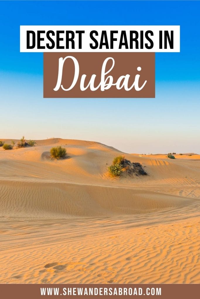 15 Best Desert Safaris in Dubai You Can't Go Wrong With
