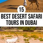 15 Best Desert Safaris in Dubai You Can't Go Wrong With