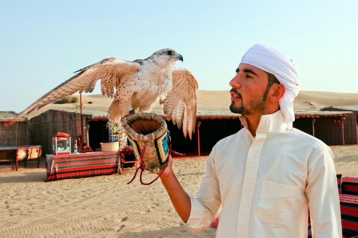 Dubai Safari Tour with Falconry
