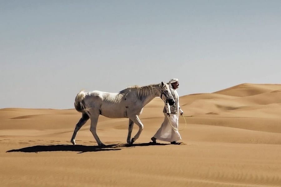 Horse riding in the Dubai desert