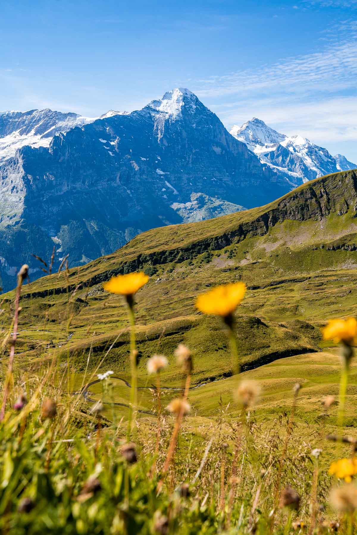 Mountain panorama at Grindelwald, Switzerland