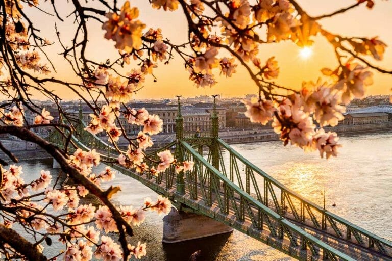 Liberty Bridge with almond blossoms