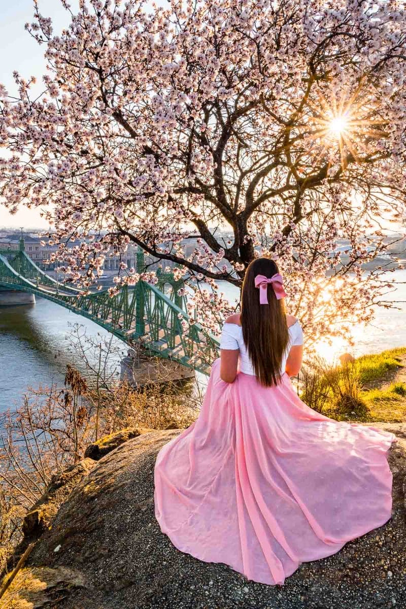 Girl in a pink skirt sitting in front of a flowering almond tree at Gellert Hill in Budapest