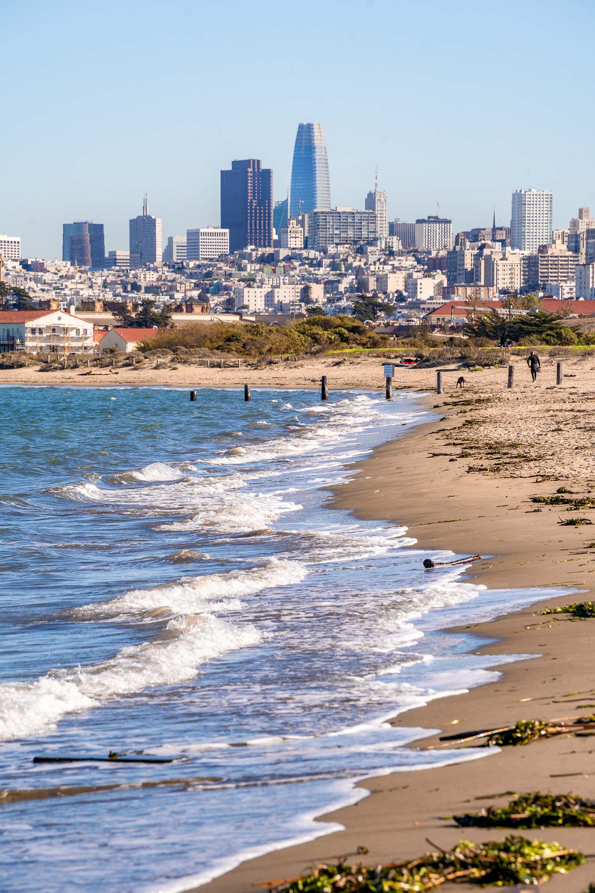 Downtown San Francisco from the beach