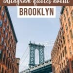 104 Best Quotes About Brooklyn (Captions, Puns & More)