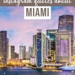 106 Best Miami Quotes & Miami Captions for Instagram