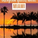 106 Best Miami Quotes & Miami Captions for Instagram