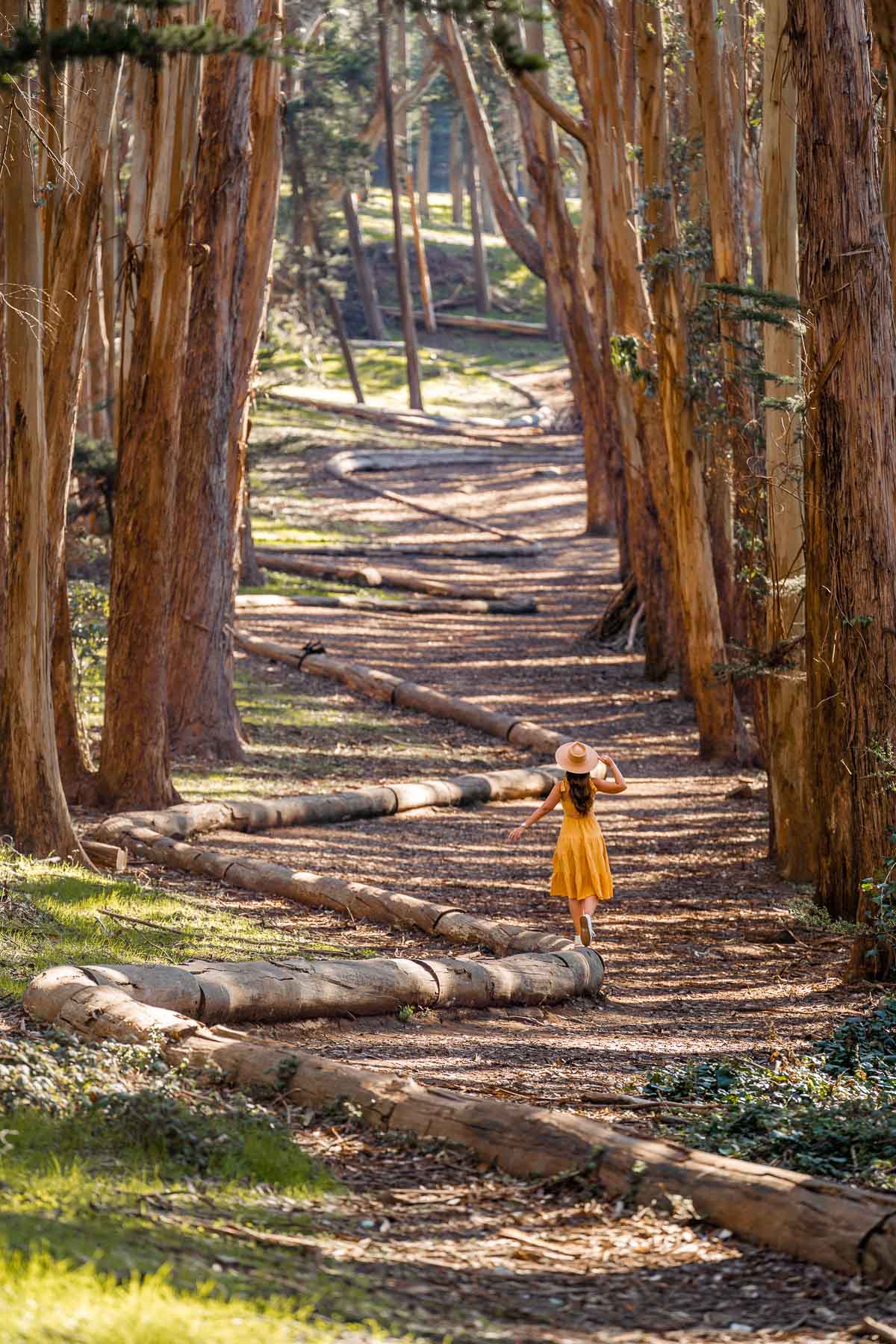 Girl in yellow dress at Andy Goldsworthy's Wood Line in San Francisco