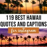 119 Hawaii Captions for Instagram