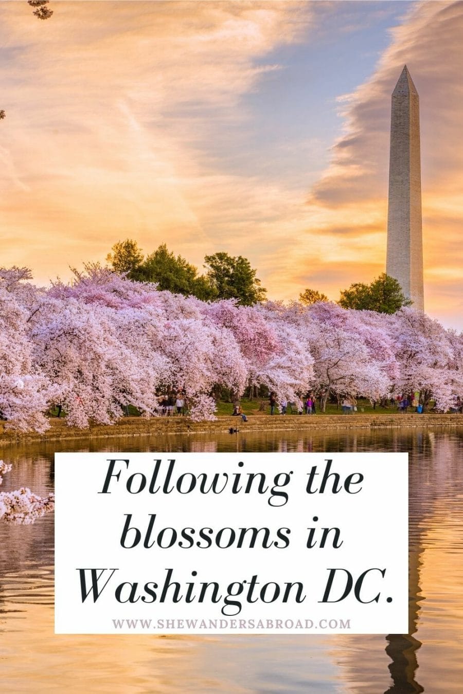 Best Washington DC Captions for Instagram