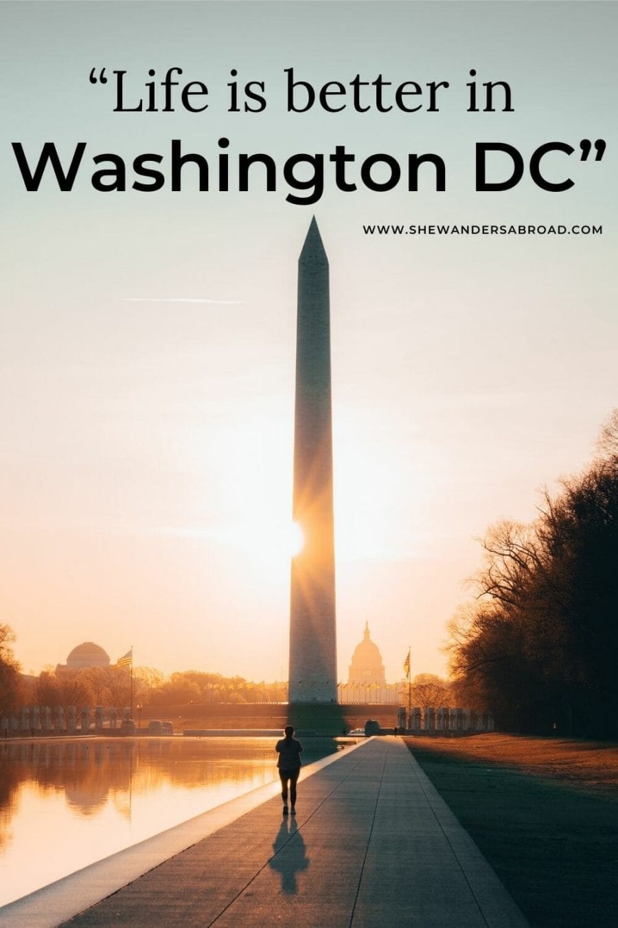 Best Washington DC One Liners