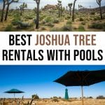 15 Amazing Joshua Tree Airbnbs with Pools (VRBOs, Cabins & More)
