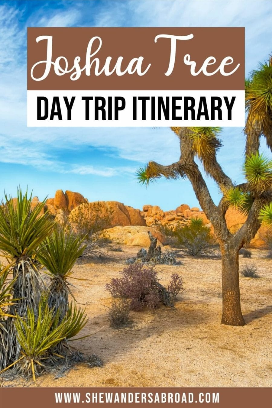 Joshua Tree Day Trip: The Perfect One Day Joshua Tree Itinerary