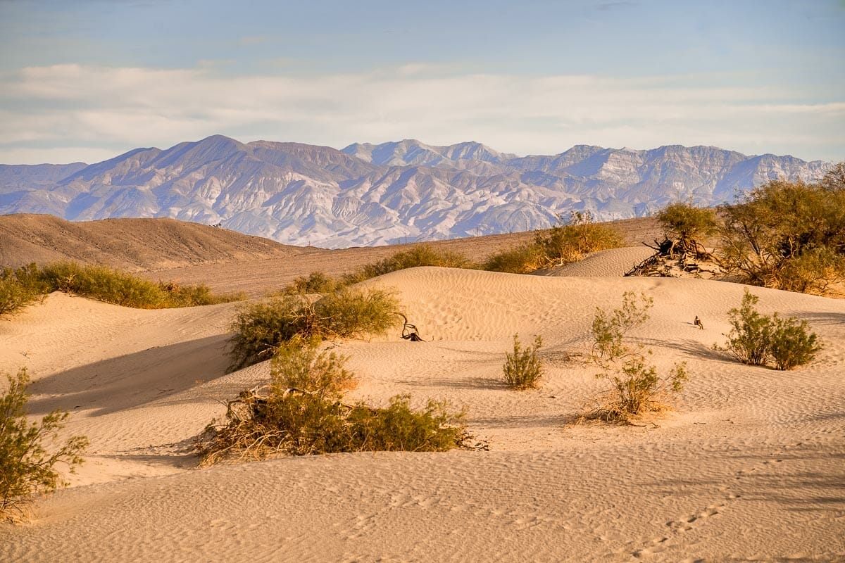 Mesquite Flat Sand Dunes, a must visit even if you have only one day in Death Valley National Park