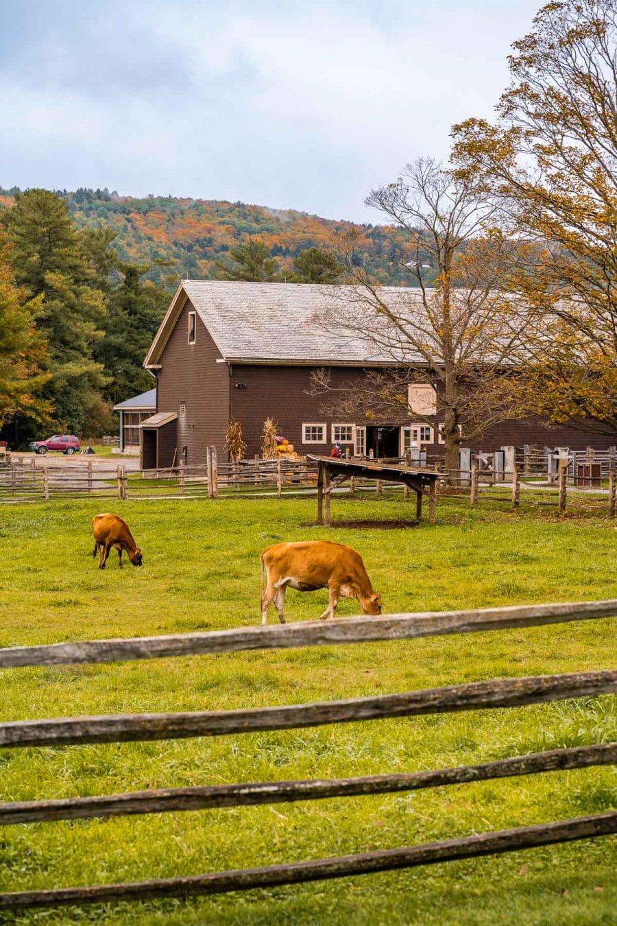 Billings Farm and Museum in Woodstock VT