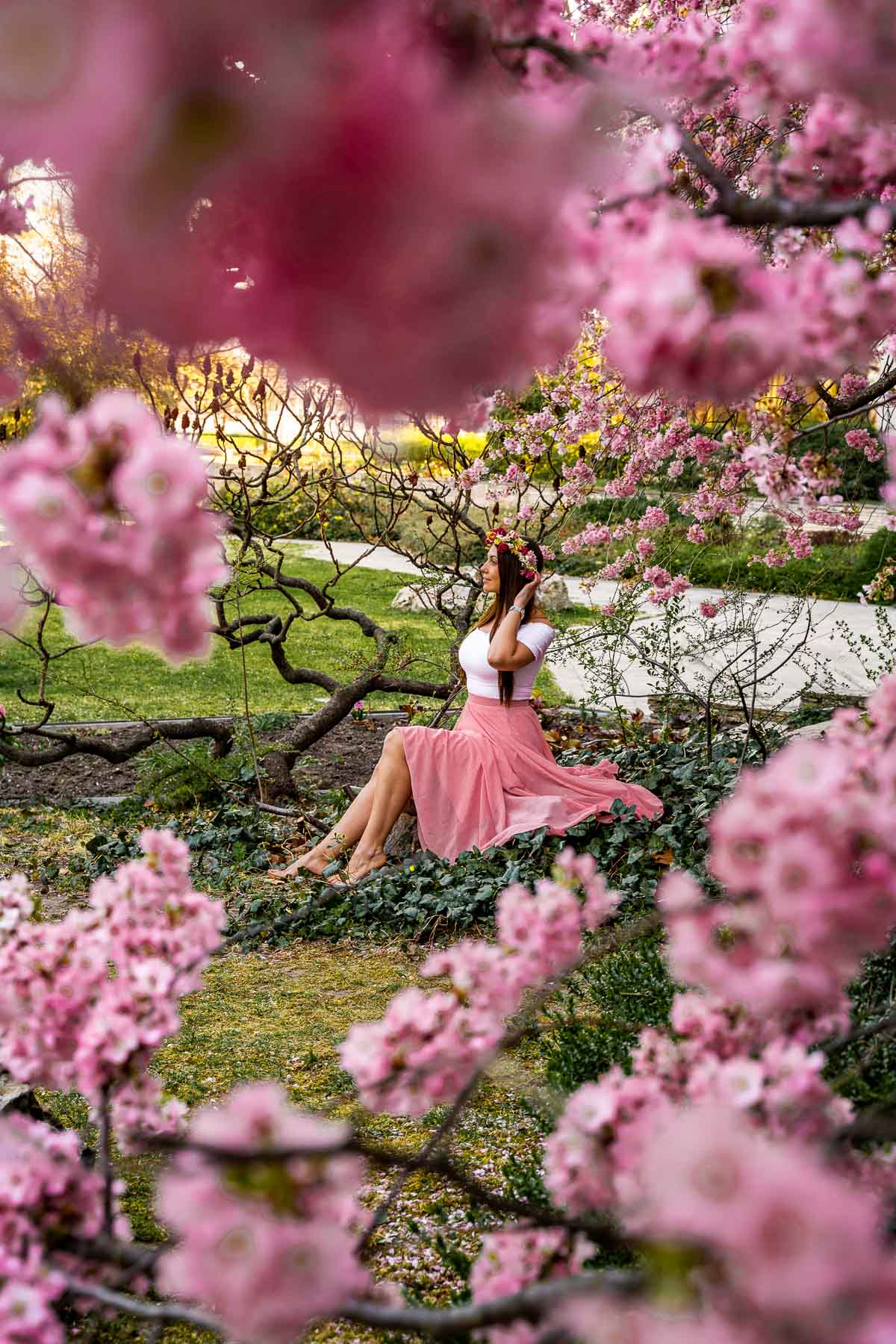 Girl sitting under a cherry blossoms on Margaret Island in Budapest in spring